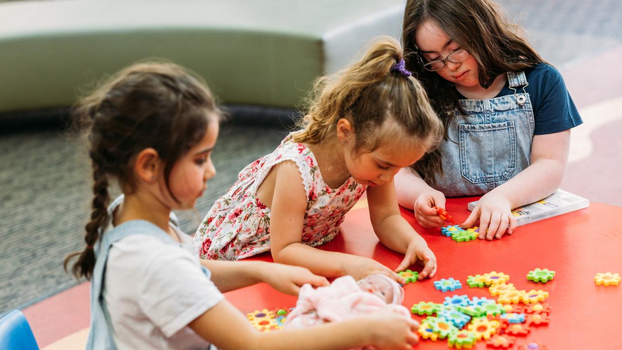 Toy library Maitland Library
